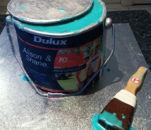 Dulux Paint Can